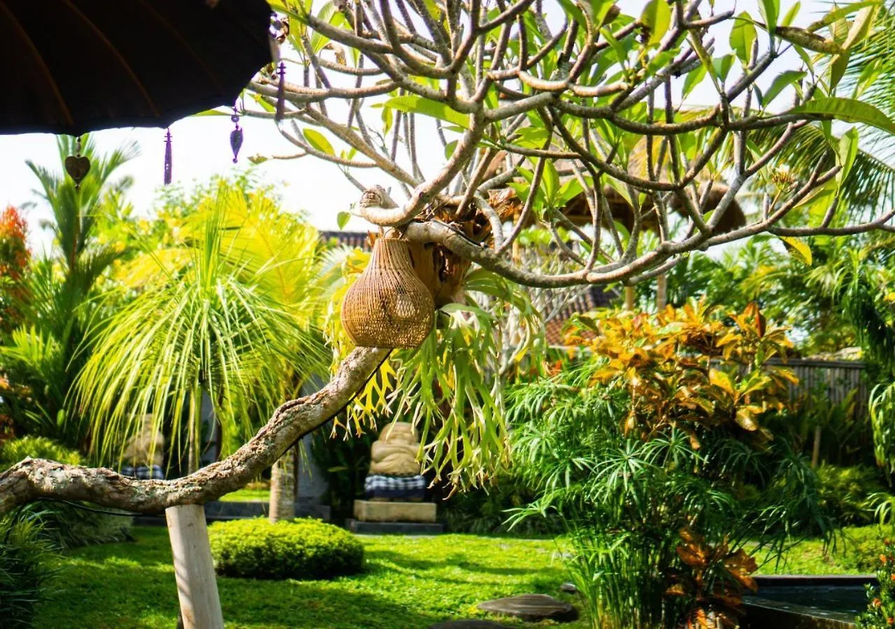 Guest house Green Coconut Cottage Ubud  Indonesia