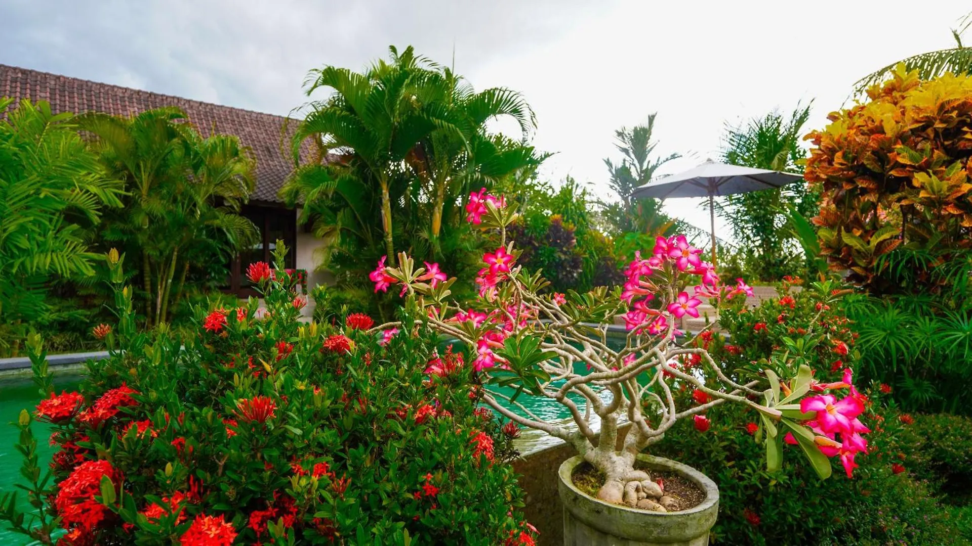 Green Coconut Cottage Ubud  Guest house
