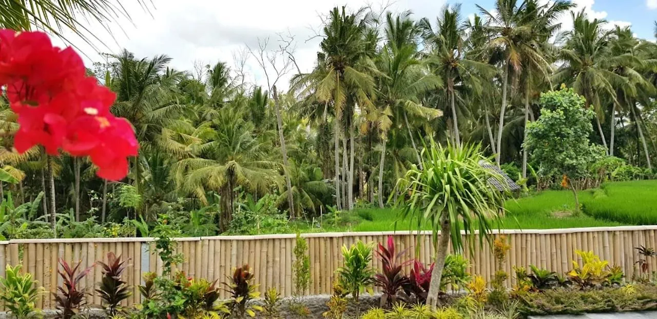 Green Coconut Cottage Ubud