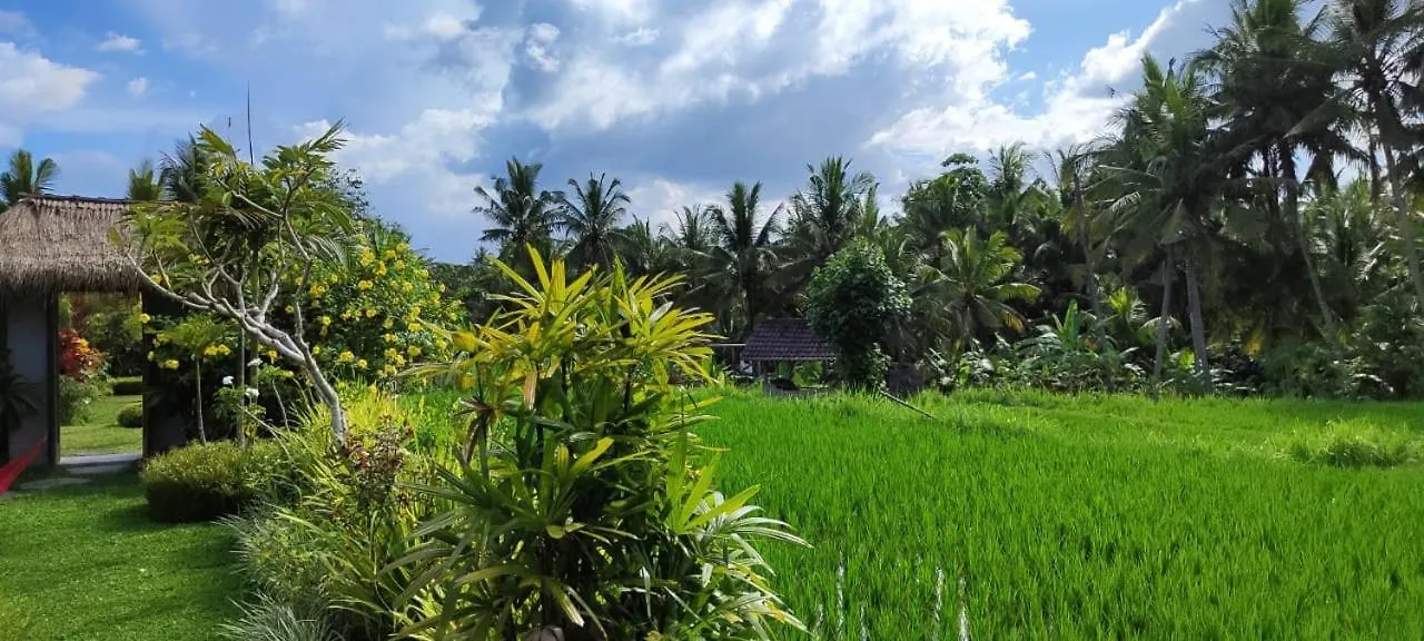 Green Coconut Cottage Ubud 0*,