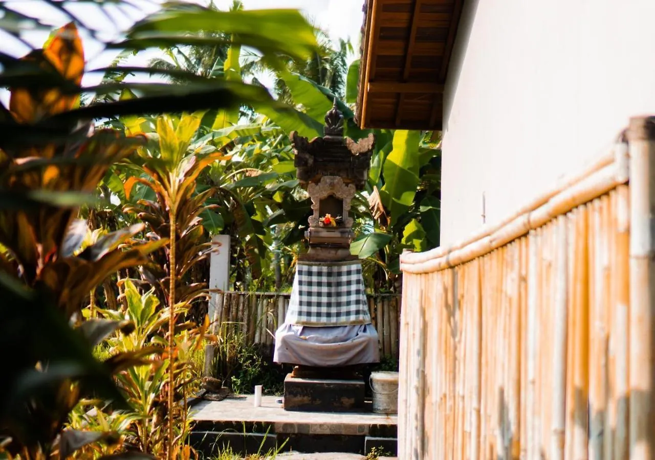 Green Coconut Cottage Ubud Maison d'hôtes