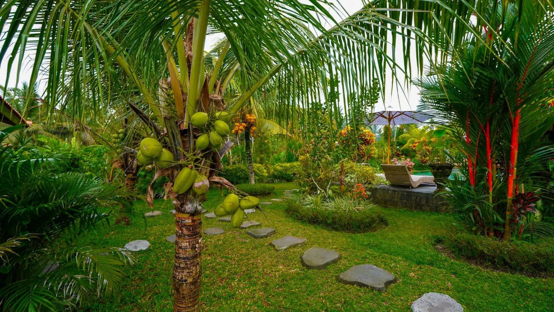 Green Coconut Cottage Ubud  Ubud (Bali)