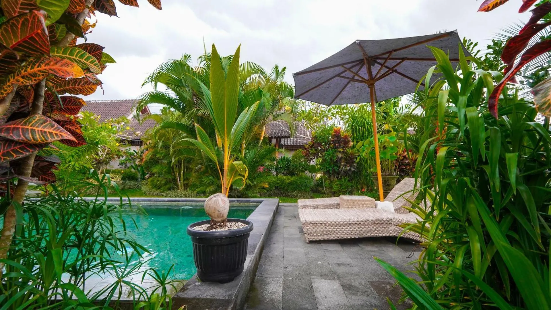 Green Coconut Cottage Ubud  Guest house
