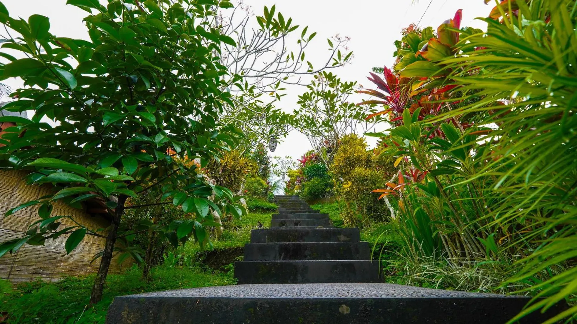 Green Coconut Cottage Ubud