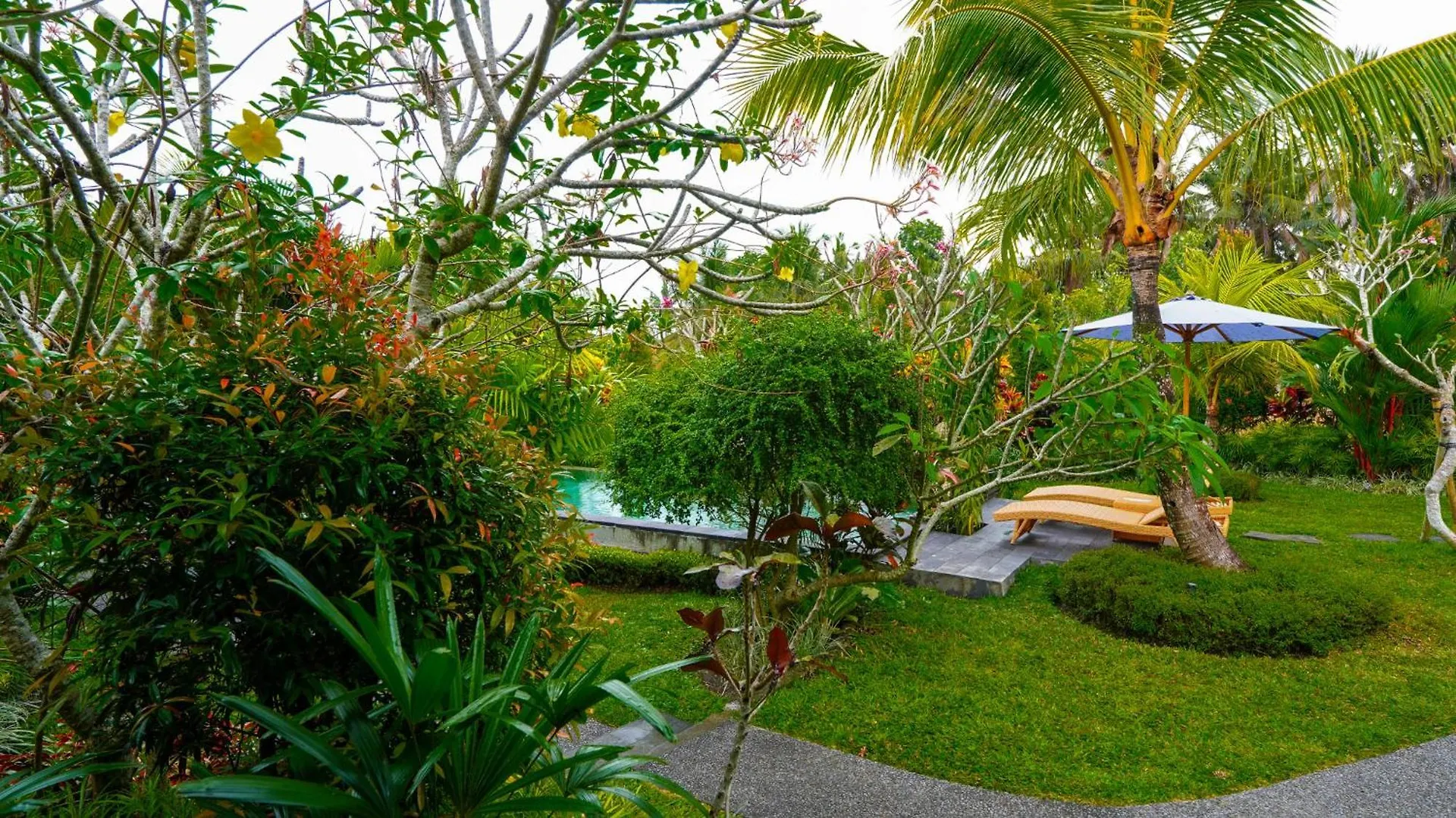 Guest house Green Coconut Cottage Ubud