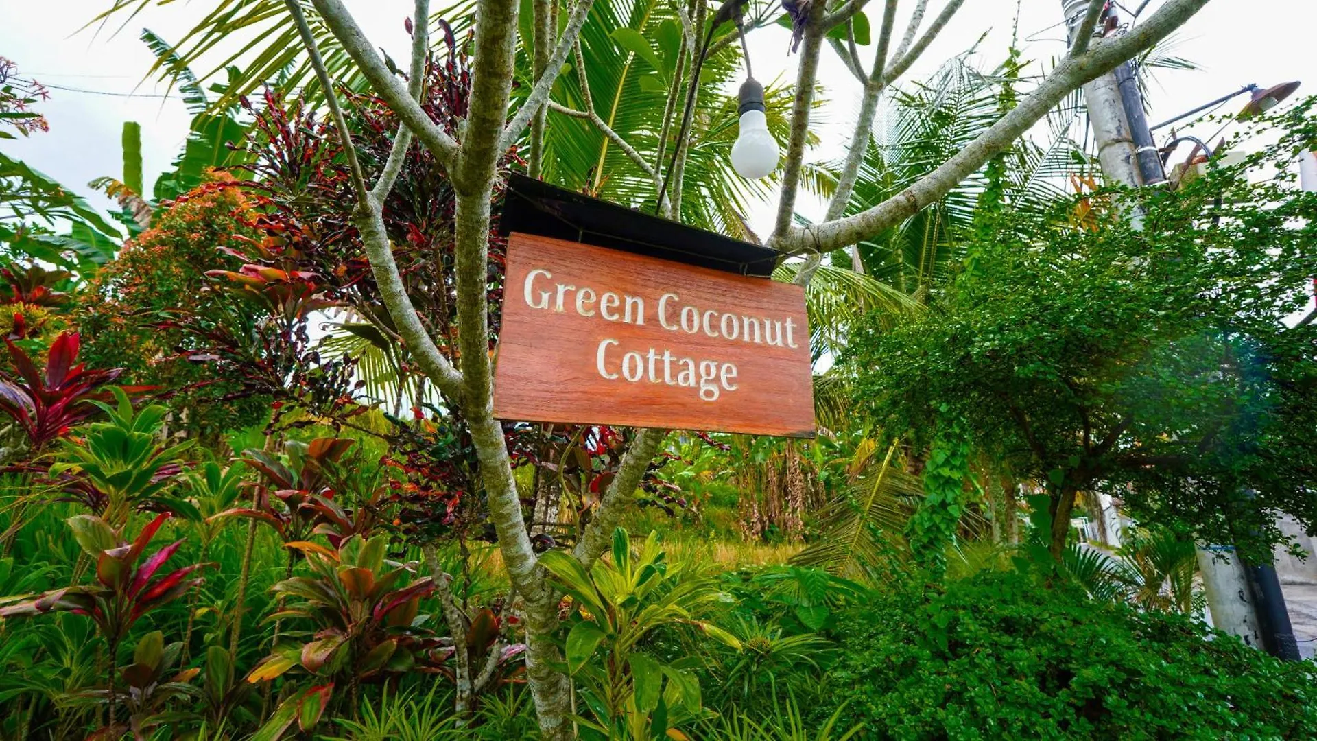 Green Coconut Cottage Ubud