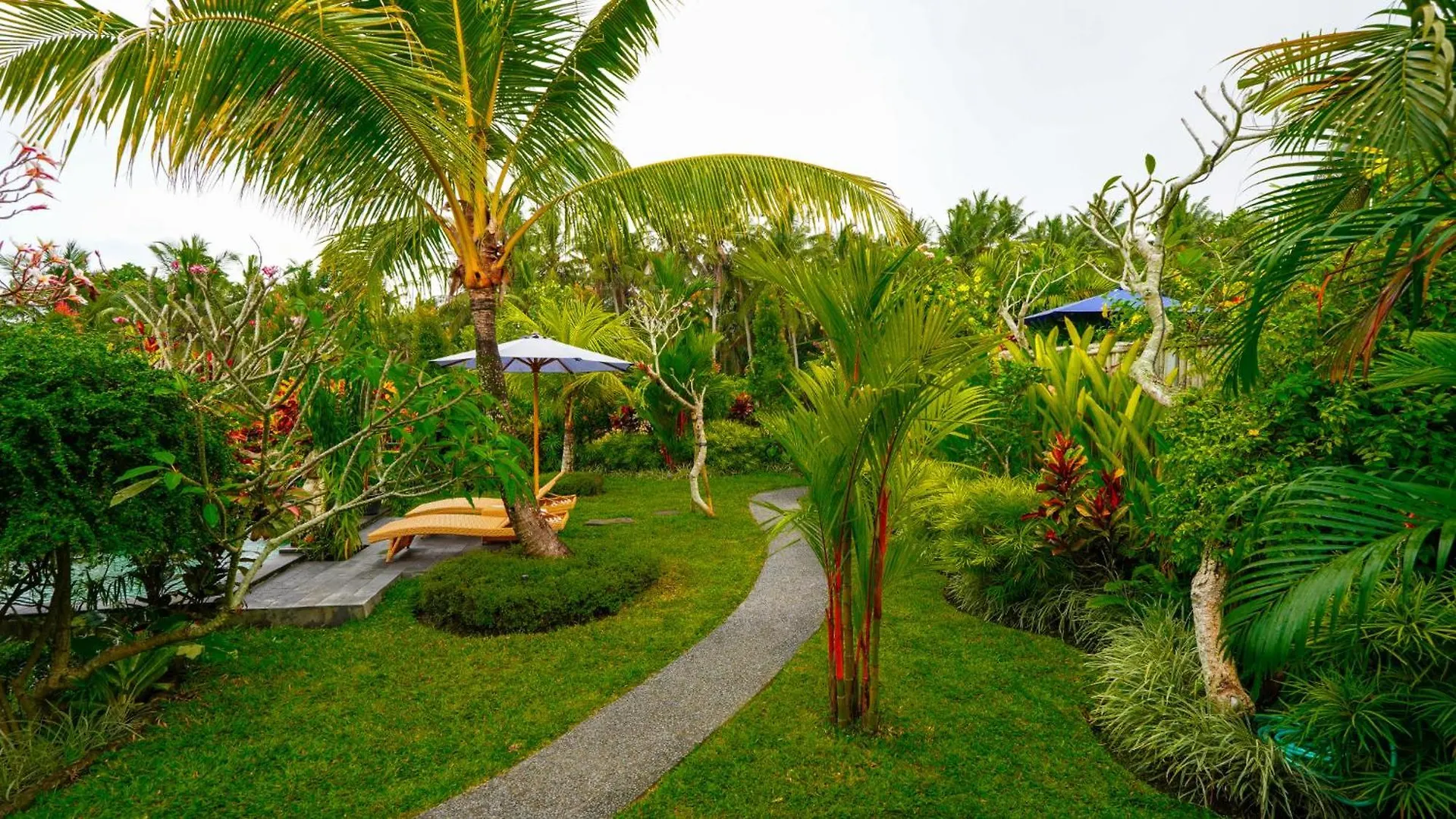 Guest house Green Coconut Cottage Ubud