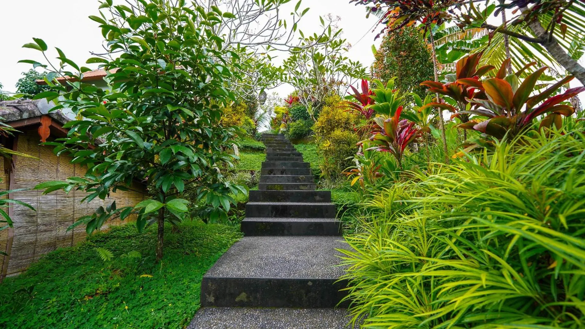 Green Coconut Cottage Ubud