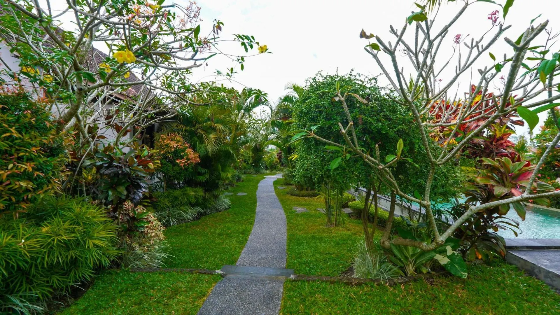 Green Coconut Cottage Ubud  Guest house Ubud (Bali)